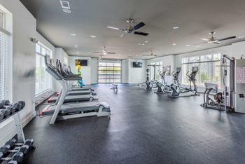 a gym with treadmills and weights on the floor and windows
